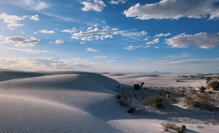 New Mexico landscape